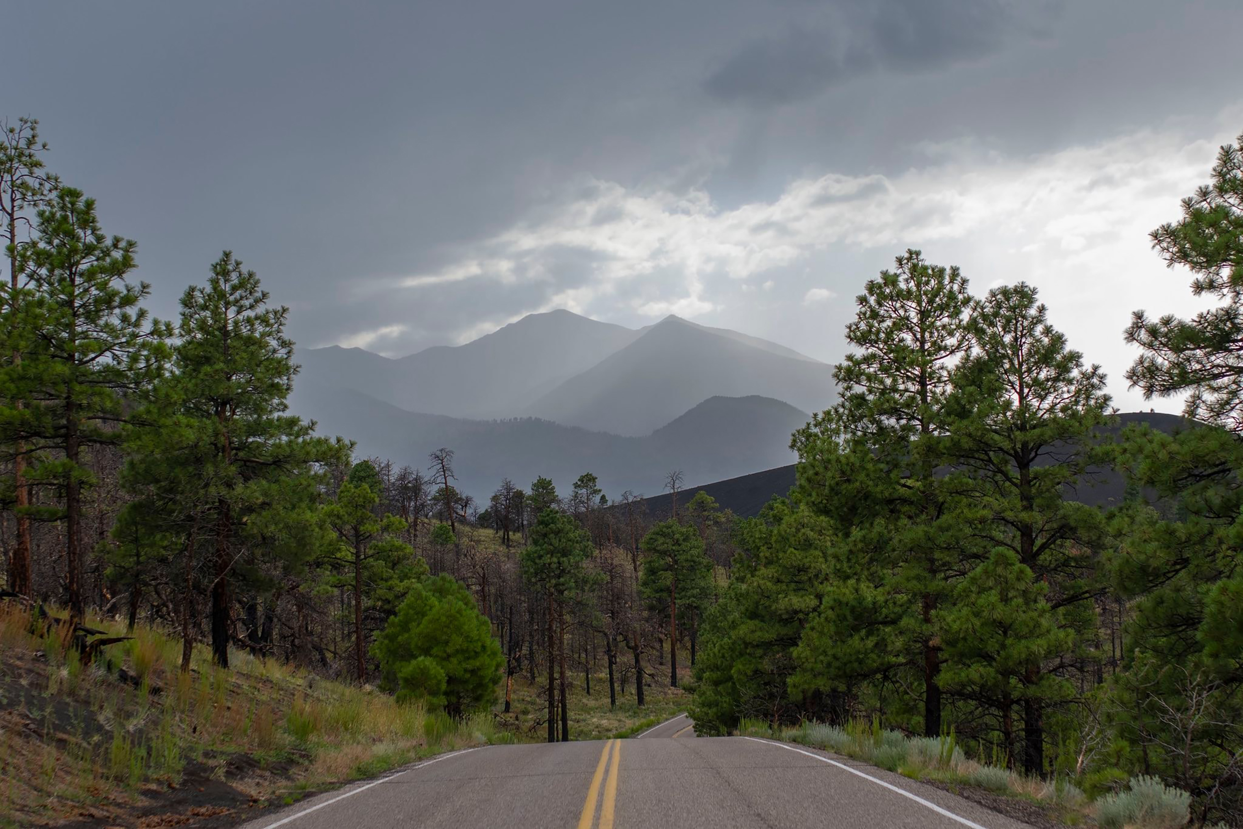 Two-lane road through a ponderosa pine forest with mountain peaks under a cloudy sky near Flagstaff